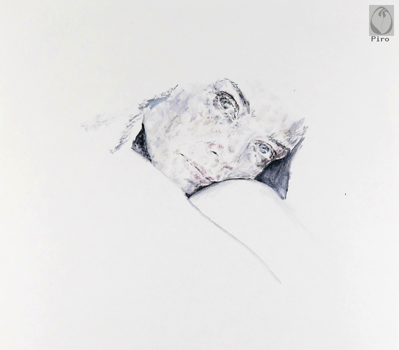 oil on paper - olio su carta di Piro